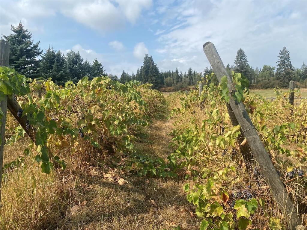 









4435


Hallam

Road,
Armstrong,




BC
V0E 1B0

