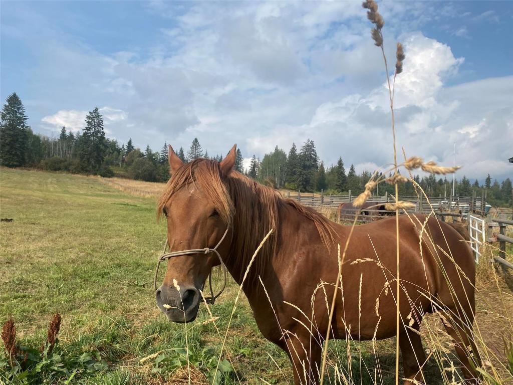 









4435


Hallam

Road,
Armstrong,




BC
V0E 1B0

