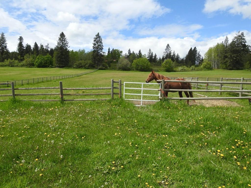 









4435


Hallam

Road,
Armstrong,




BC
V0E 1B0

