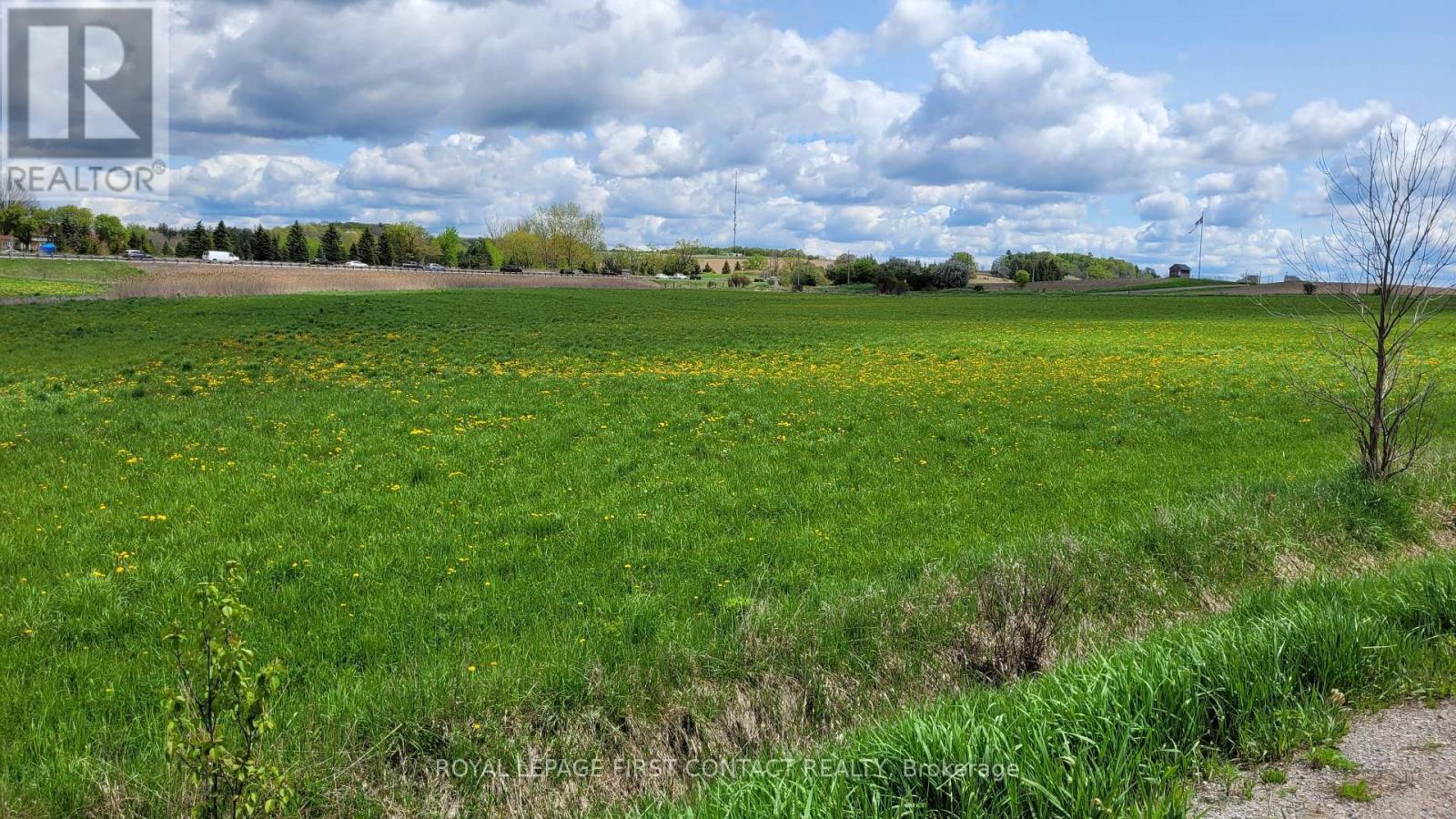 












3568 4 LINE

,
Bradford West Gwillimbury,







Ontario
L3Z2L7

