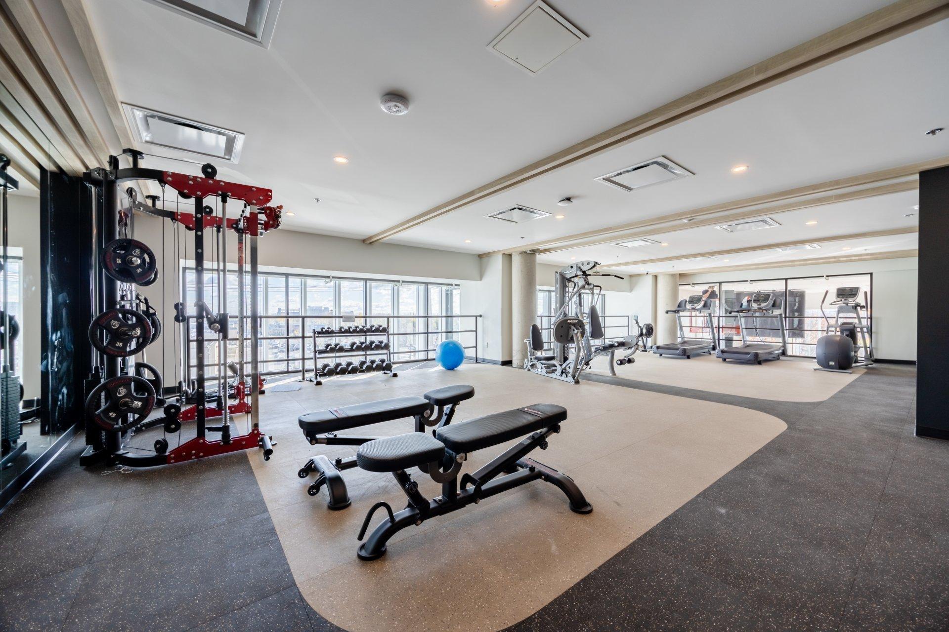 









5605


Av. Pierre-De Coubertin

, 1114,
Montréal (Mercier/Hochelaga-Maisonneuve),




QC
H1N0E9

