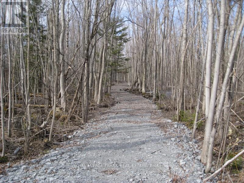 












0 MERVIN LINE

,
Cavan Monaghan (Cavan-Monaghan),







Ontario
K9J6Z9

