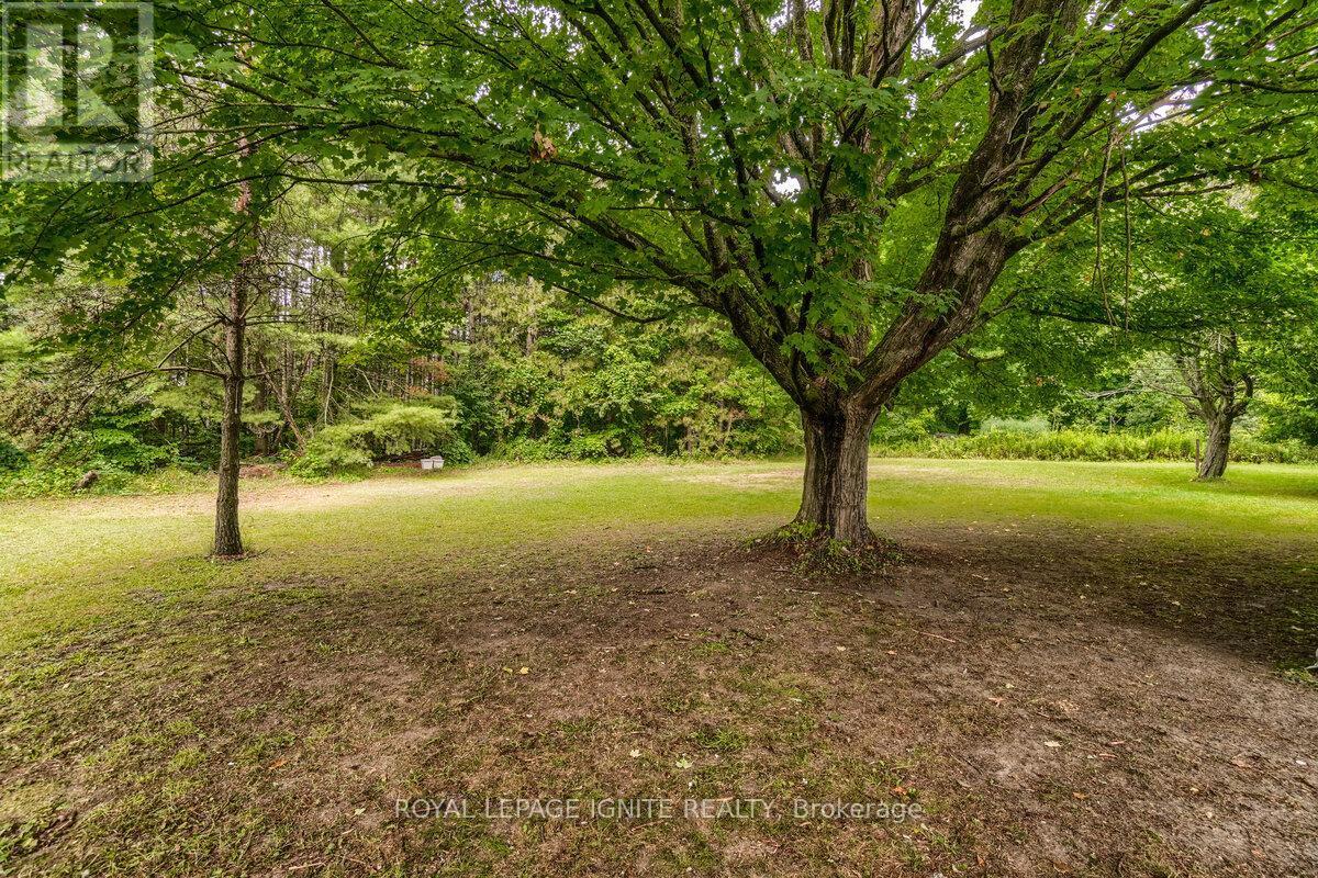 












5812 BEECH GROVE SIDE ROAD

,
Caledon,




Ontario
L7K0M7

