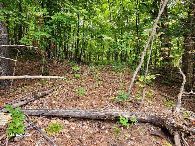 









1770


Mtée Paiement

,
Val-des-Monts,







QC
J8N7A4

