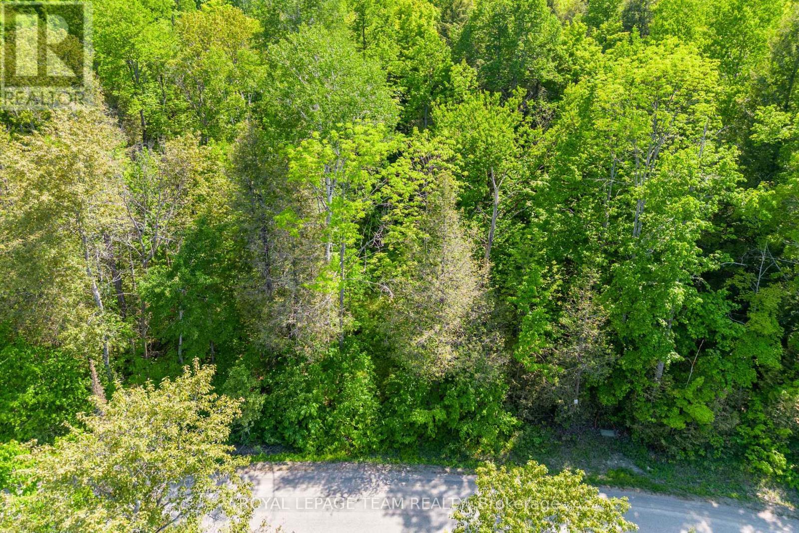 












01 MINK LAKE ROAD

,
North Algona Wilberforce,







Ontario
K0J1T0

