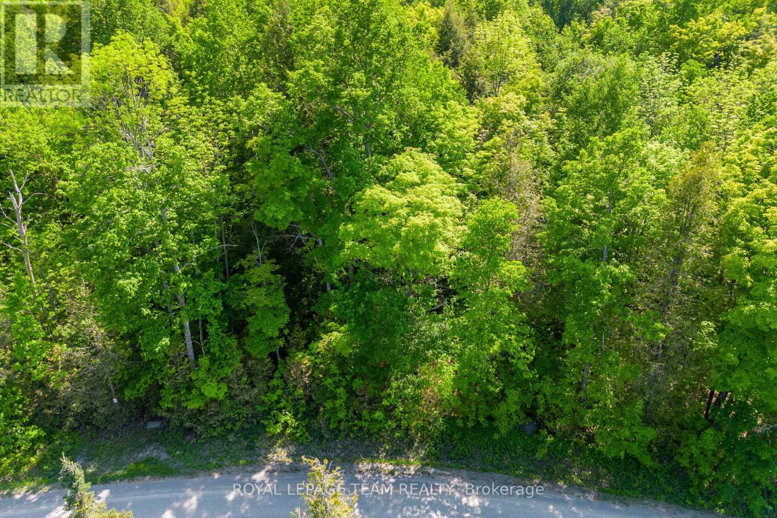 












01 MINK LAKE ROAD

,
North Algona Wilberforce,







Ontario
K0J1T0

