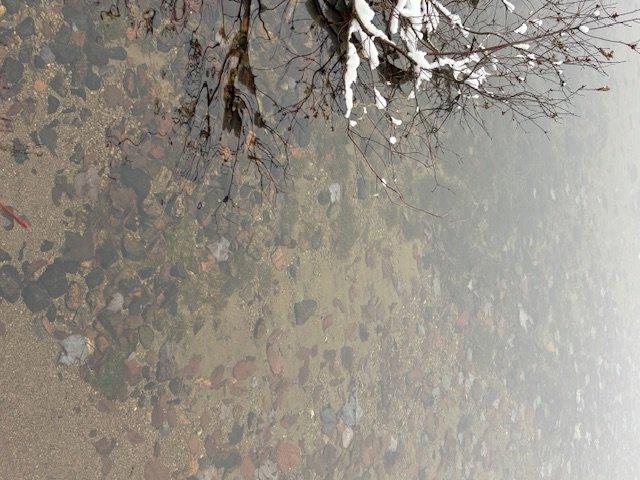 












Ch. de la Pointe

,
Lantier,







QC
J0T1V0

