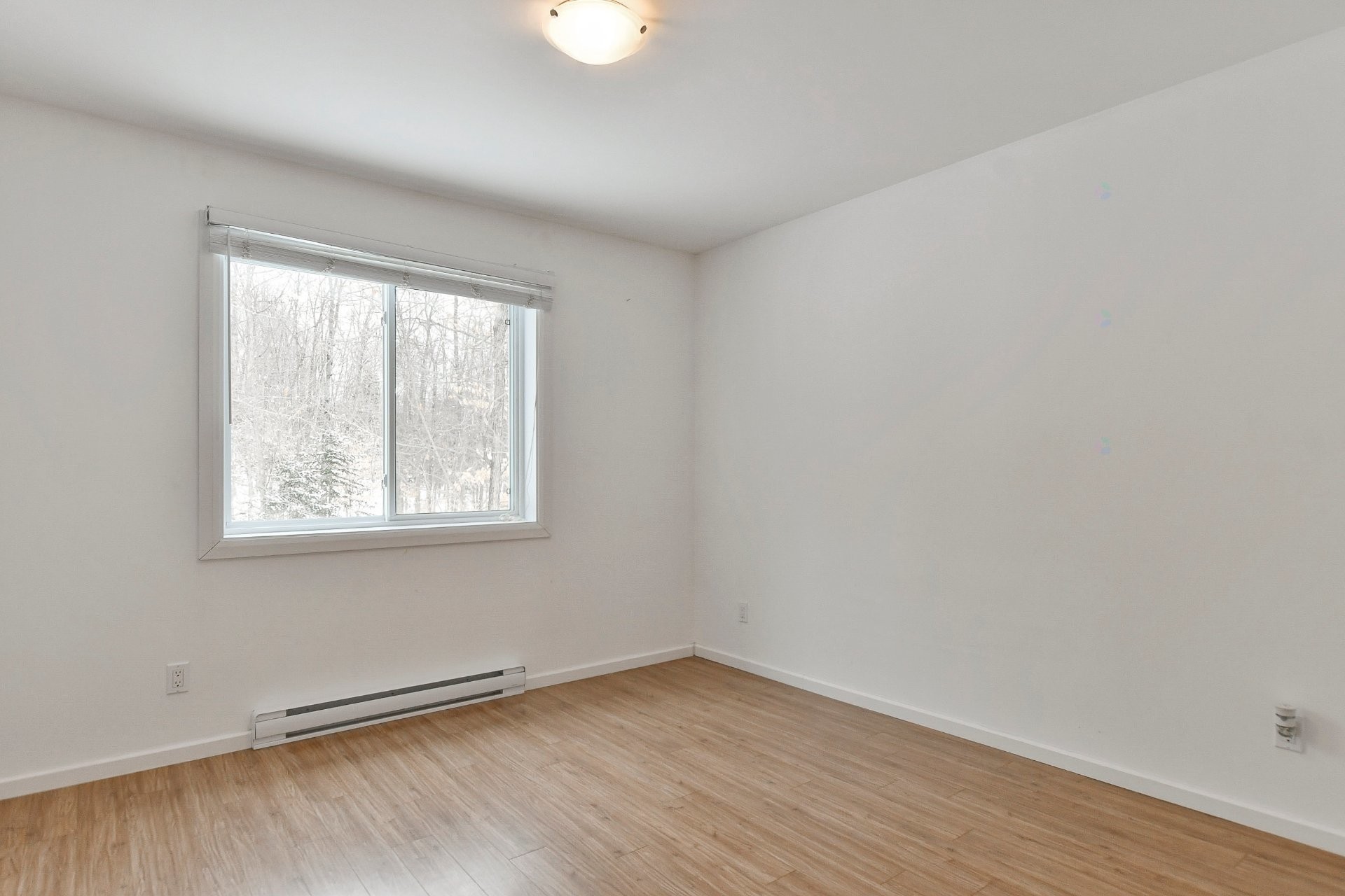 









6590


Route 125

,
Rawdon,




QC
J0K1S0

