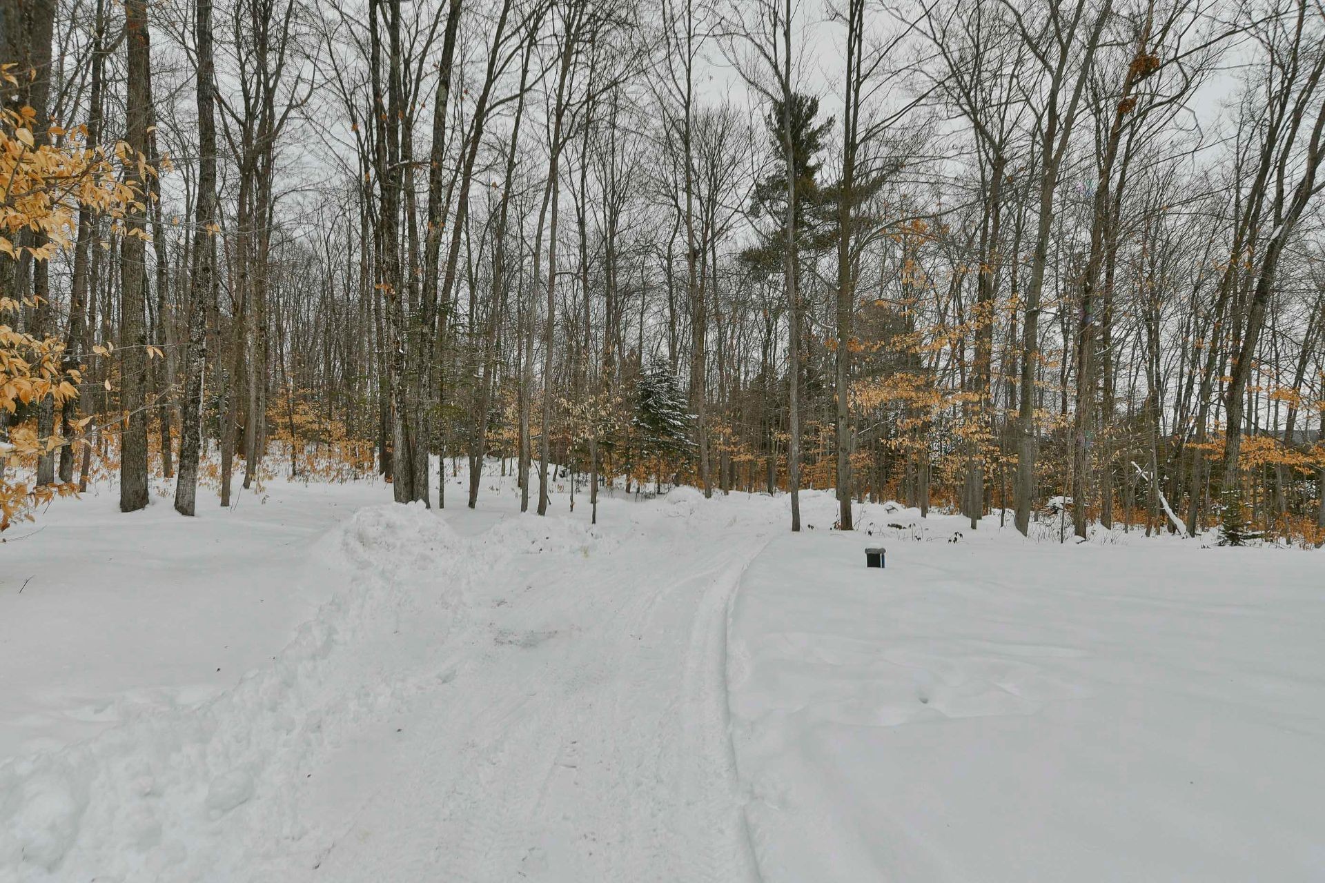 









6590


Route 125

,
Rawdon,




QC
J0K1S0


