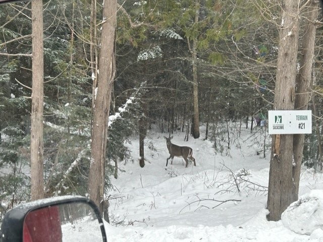 









839


Rg Sacacomie

, 38,
Saint-Alexis-des-Monts,







QC
J0K1V0

