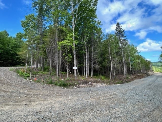 









839


Rg Sacacomie

, 38,
Saint-Alexis-des-Monts,







QC
J0K1V0

