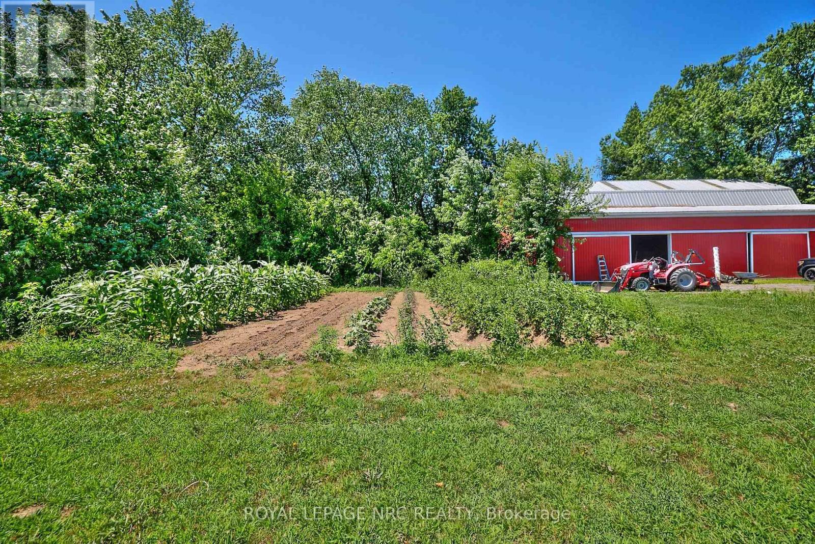 












1171 MCNAB ROAD

,
Niagara-on-the-Lake (Lakeshore),







Ontario
L0S1J0

