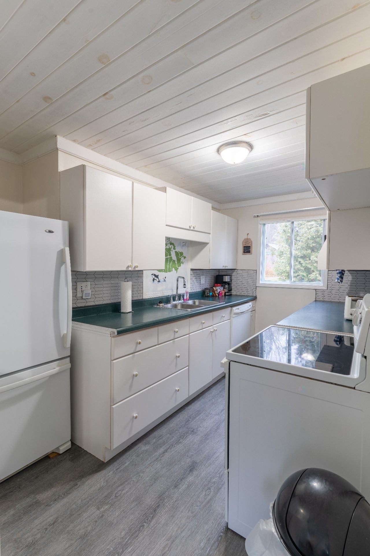 









16


Ch. Blue Jay

,
L'Isle-aux-Allumettes,




QC
J0X1M0

