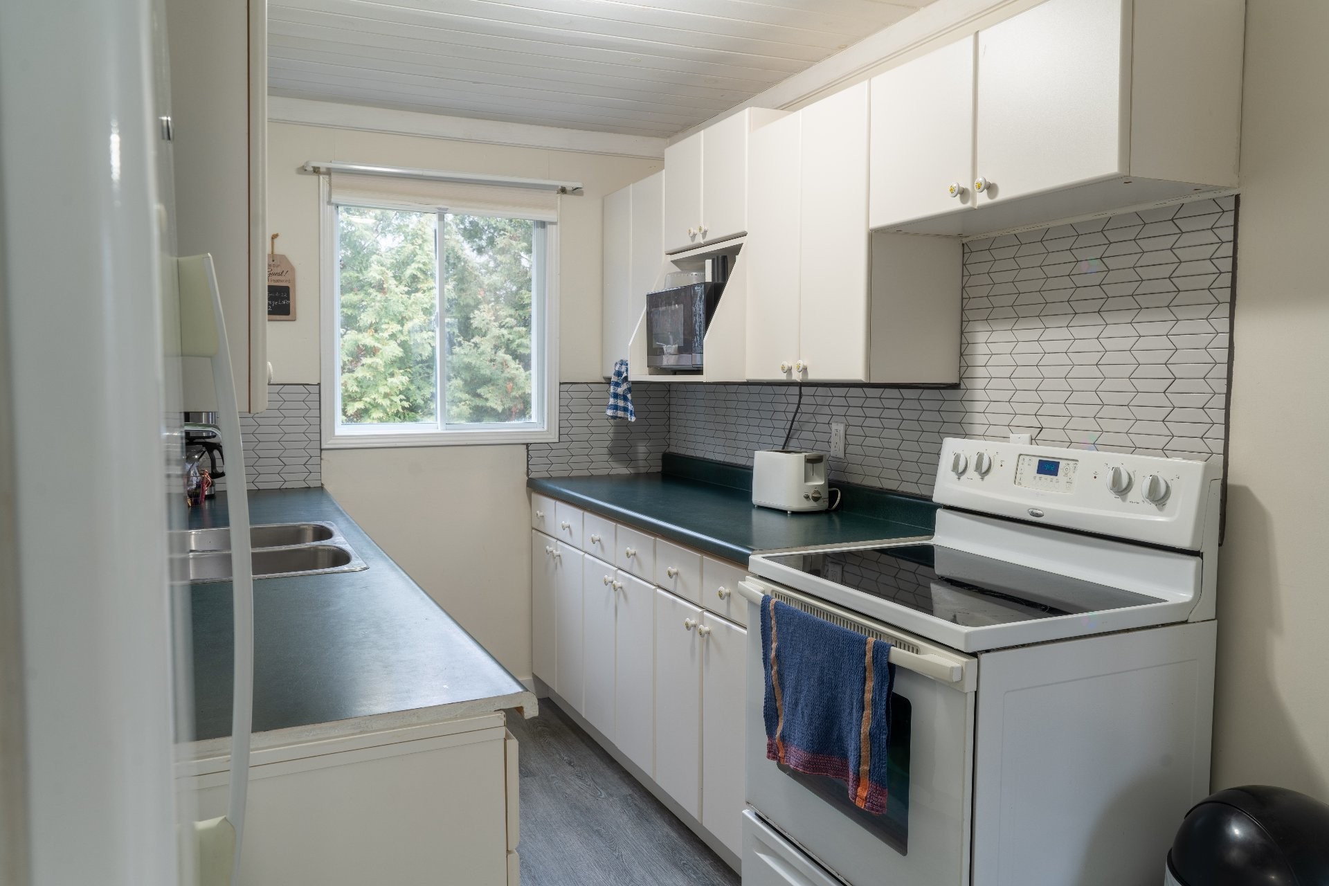 









16


Ch. Blue Jay

,
L'Isle-aux-Allumettes,




QC
J0X1M0

