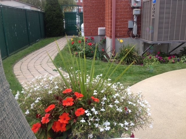 









907


Rue Henri-Massé

,
Longueuil (Saint-Hubert),




QC
J3Z1G9

