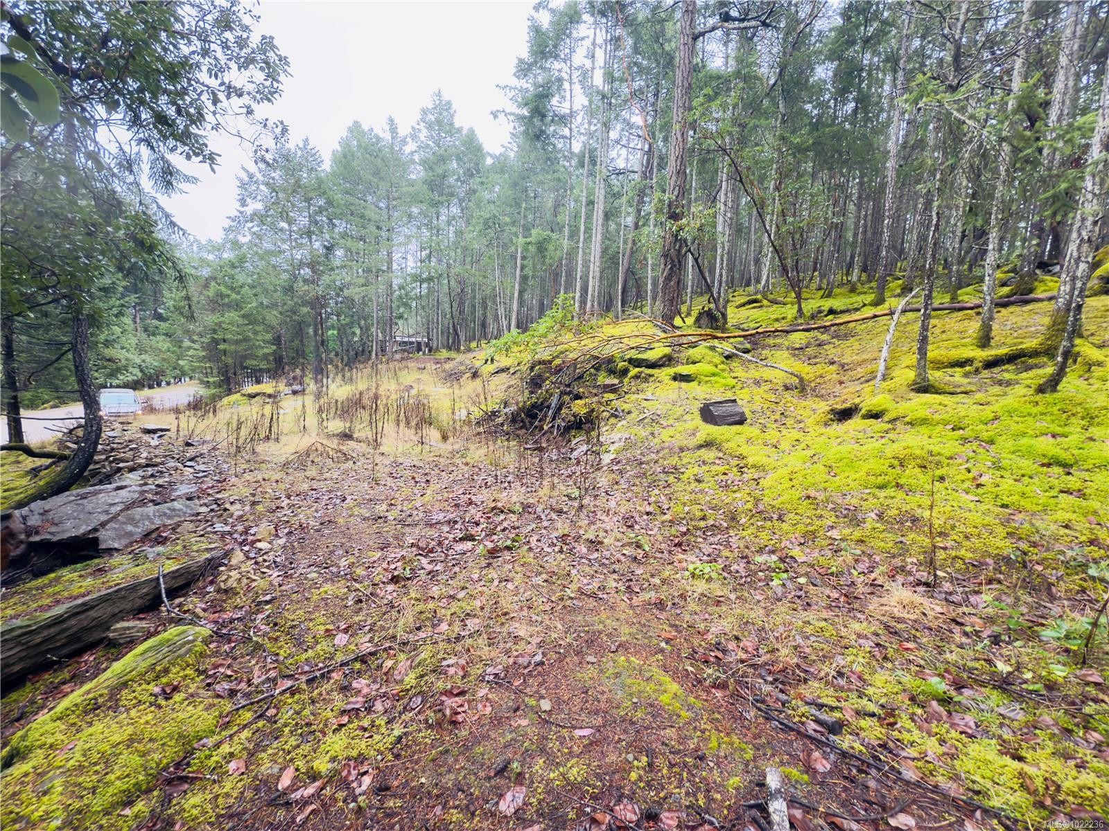 









136


COHO

Dr,
Mudge Island,







BC
V0R 1X6

