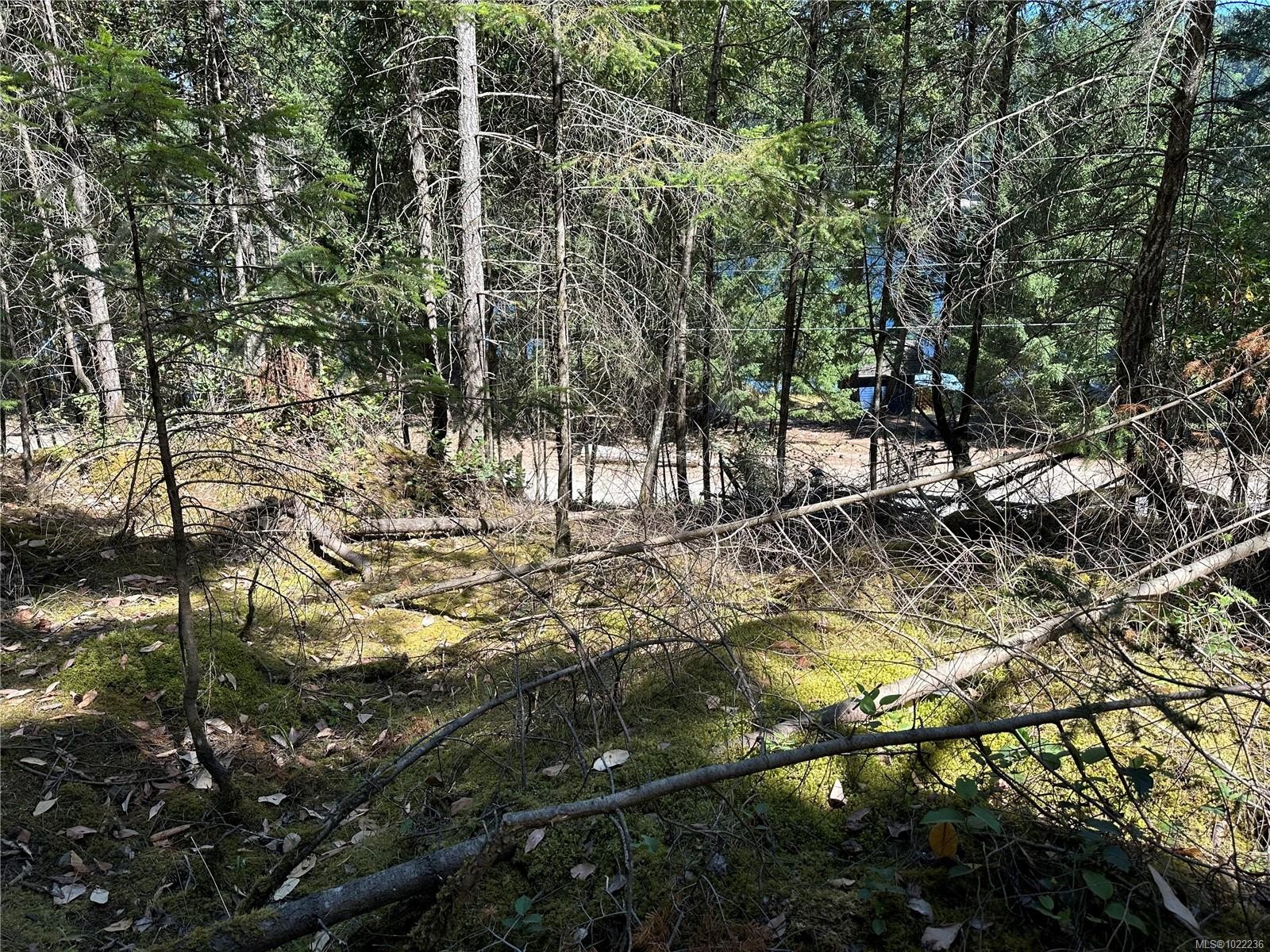 









136


COHO

Dr,
Mudge Island,







BC
V0R 1X6

