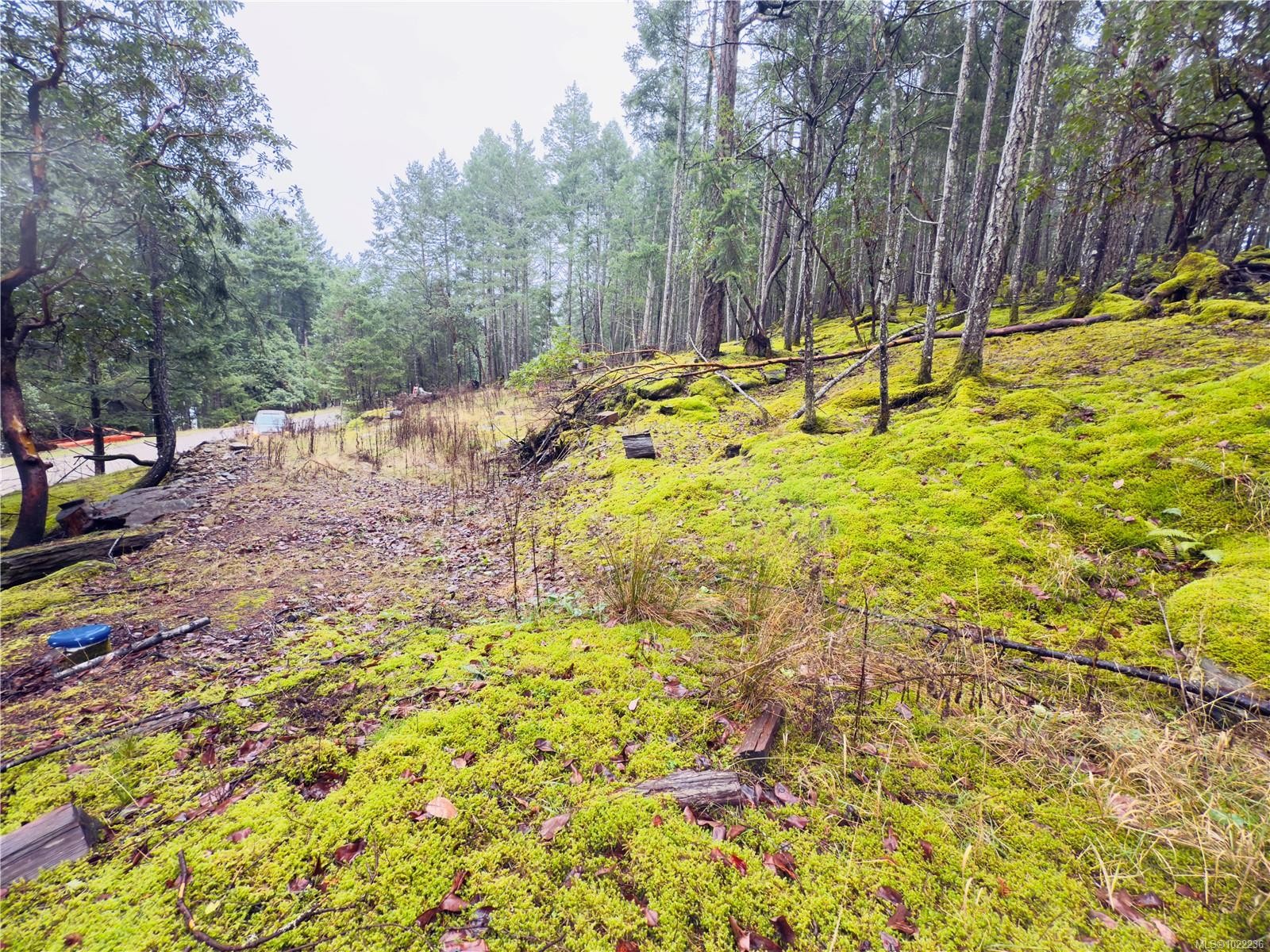 









136


COHO

Dr,
Mudge Island,







BC
V0R 1X6

