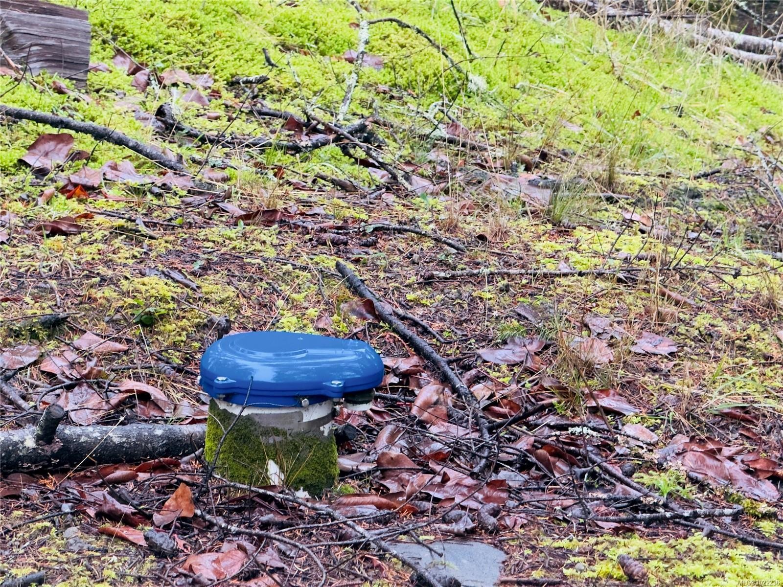 









136


COHO

Dr,
Mudge Island,







BC
V0R 1X6

