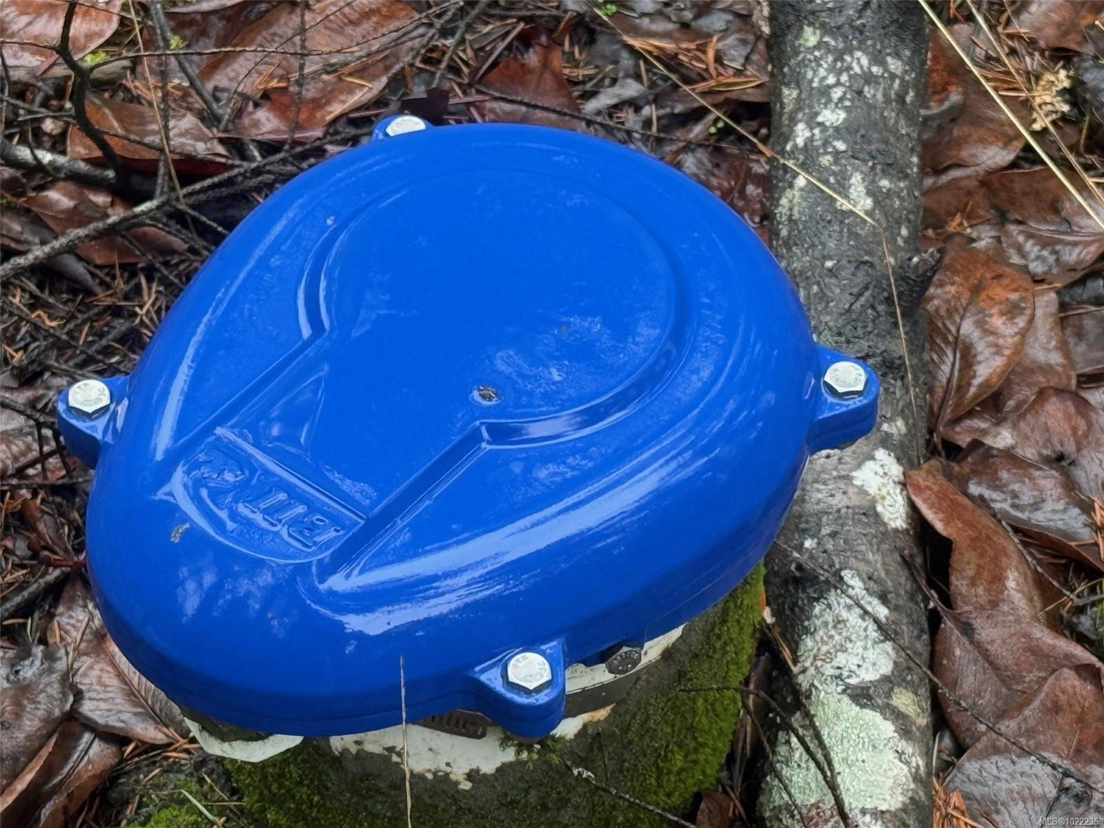 









136


COHO

Dr,
Mudge Island,







BC
V0R 1X6

