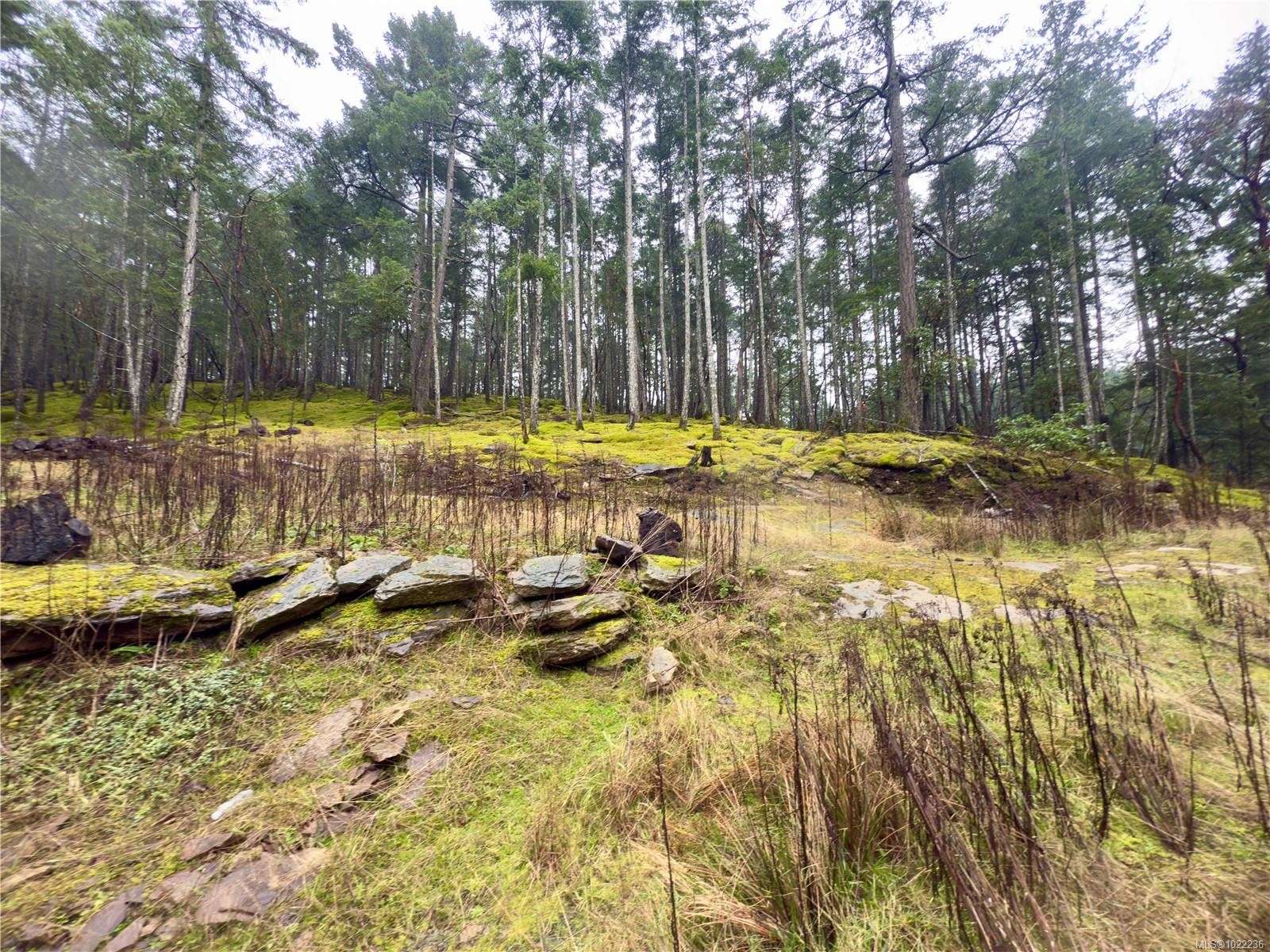 









136


COHO

Dr,
Mudge Island,







BC
V0R 1X6

