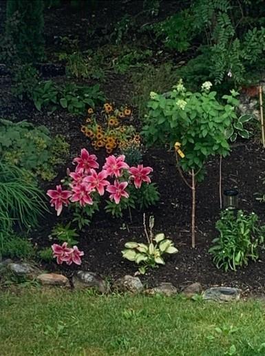 









21


Windemere

Place,
Conception Bay South,




NL
A1W 4V4

