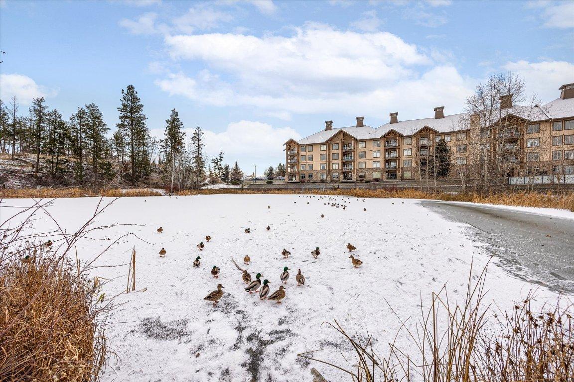 









2611


Stillwater

Way, 222,
Lake Country,




BC
V4V 2R3

