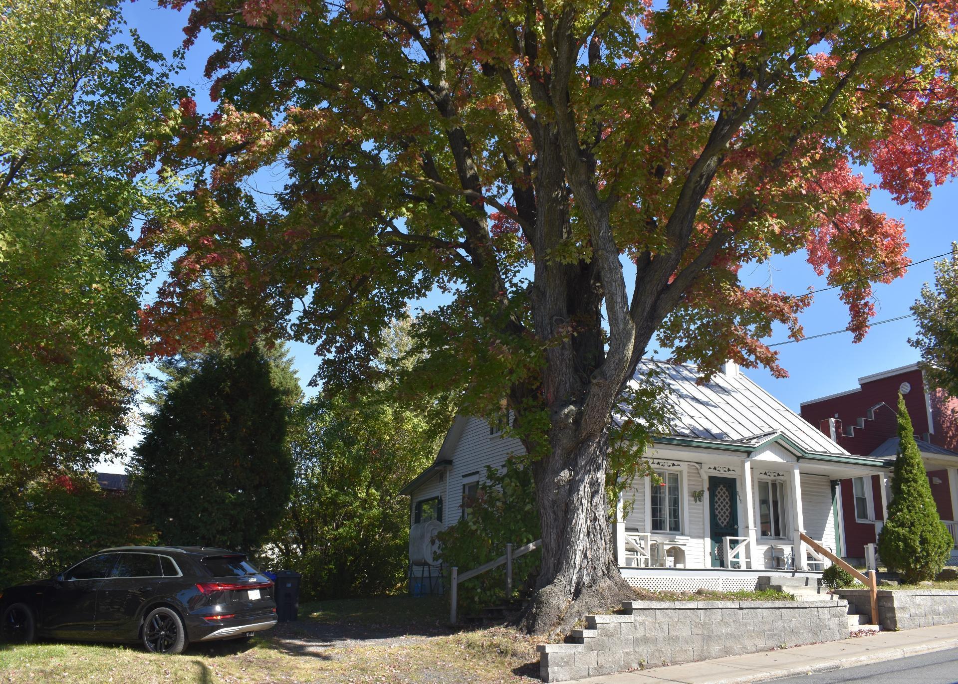 









871


Rue St-Antoine

,
Contrecoeur,




QC
J0L1C0

