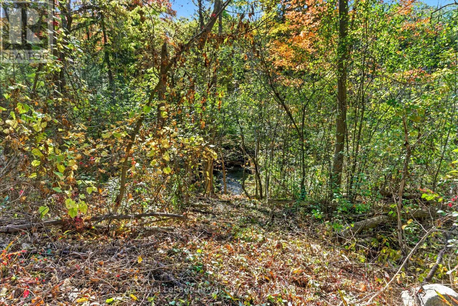 












66 OLD MILL ROAD

,
Cambridge,




Ontario
N3H4R8

