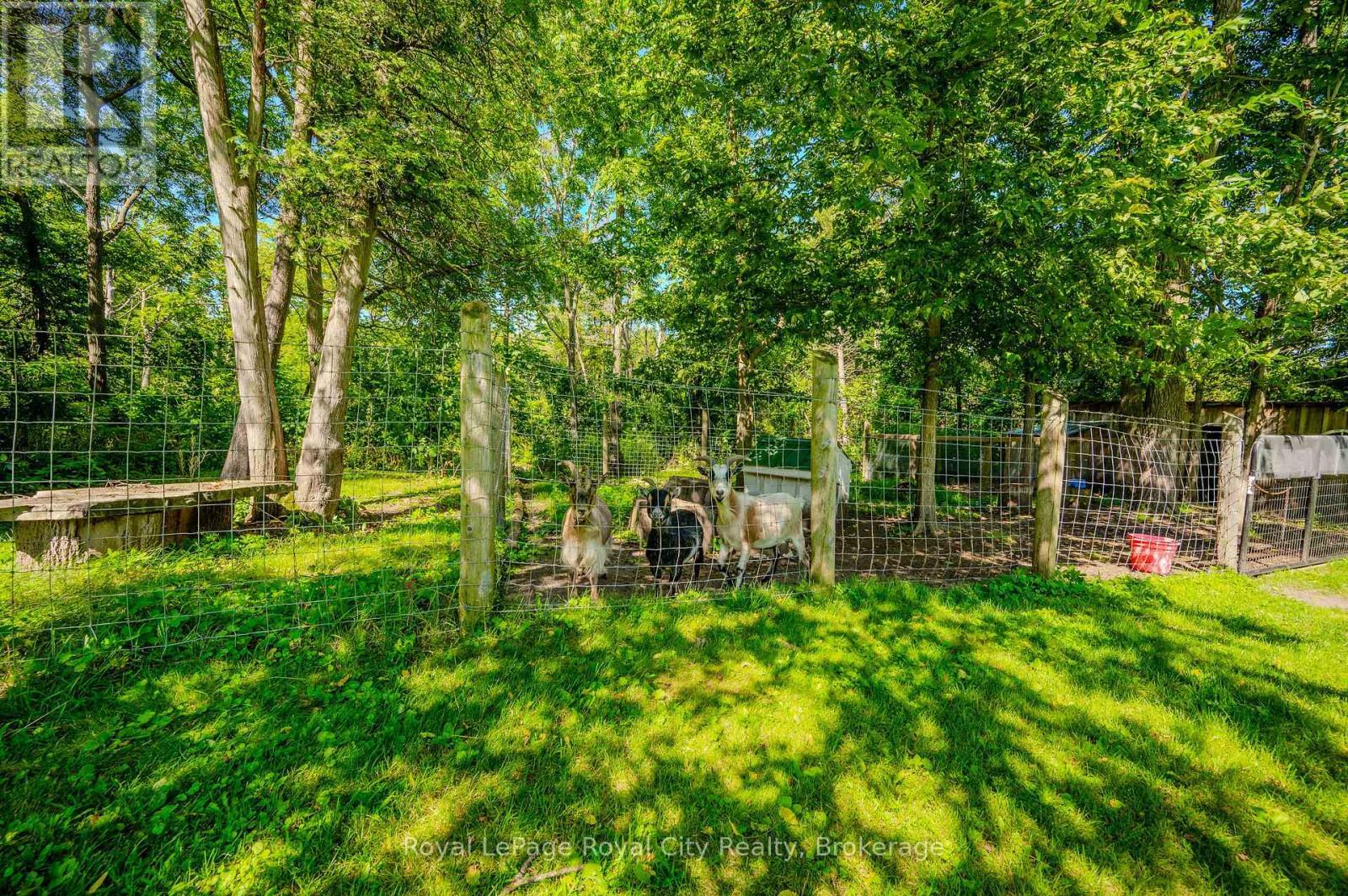 












66 OLD MILL ROAD

,
Cambridge,




Ontario
N3H4R8

