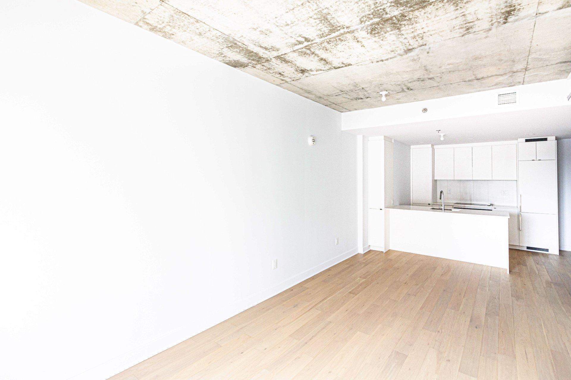 









1971


Rue du Havre

, 411,
Montréal (Ville-Marie),




QC
H2K0E5

