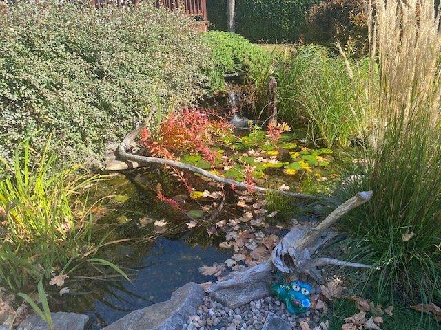 









1242


Boul. Virginie-Roy

,
Notre-Dame-de-l'Île-Perrot,




QC
J7W3M8

