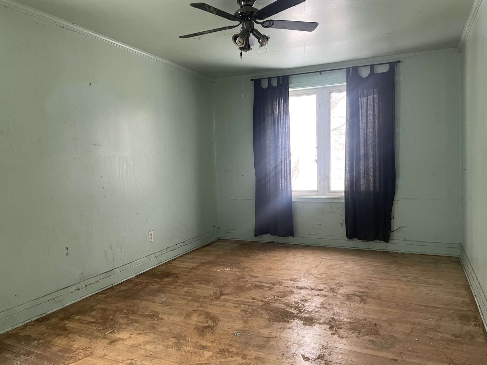 









156


Rue Main

,
Gatineau (Gatineau),




QC
J8P5J3

