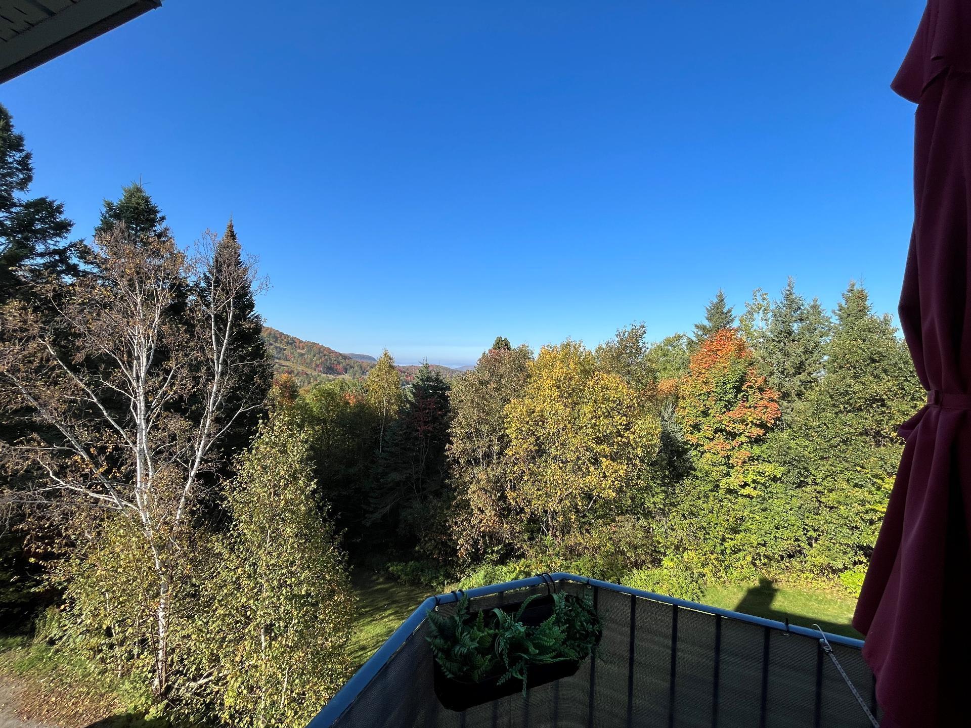 









1208


Rue Bellevue

, 5,
Mont-Blanc,




QC
J0T2G0

