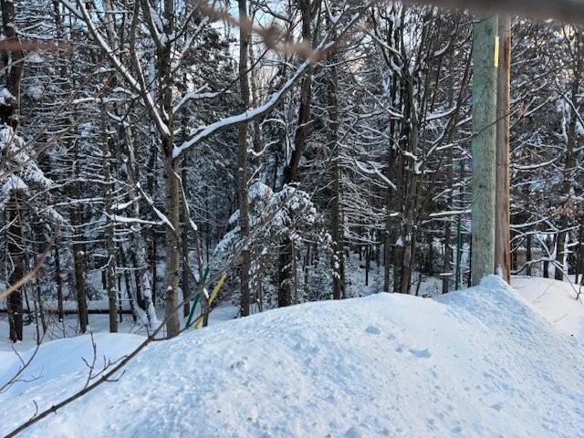 












1re Avenue

,
Val-Morin,







QC
J0T2R0

