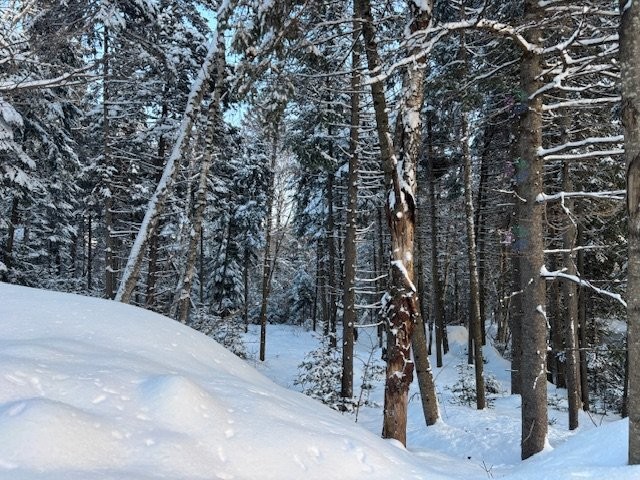 












1re Avenue

,
Val-Morin,







QC
J0T2R0

