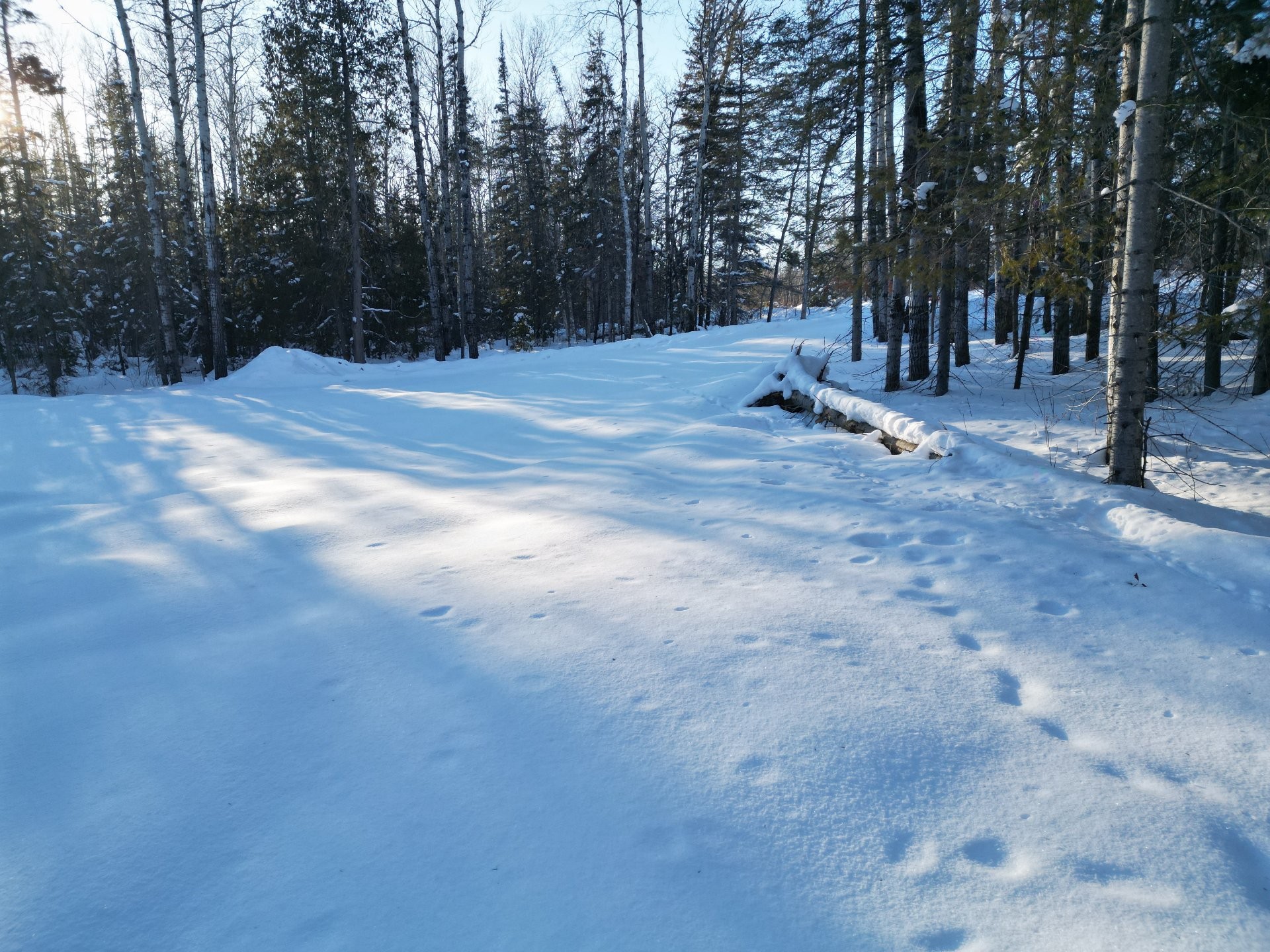 









10


Route du Quai

,
Saint-Bruno-de-Guigues,







QC
J0Z3G0

