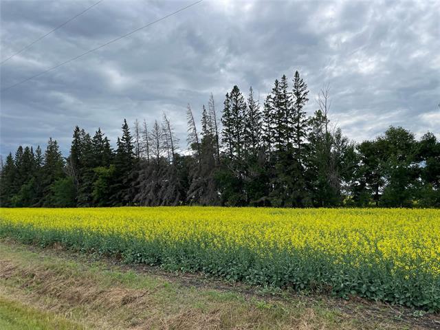 









0


Red River

DR,
Ritchot Rm,







MB
R5A 1J7

