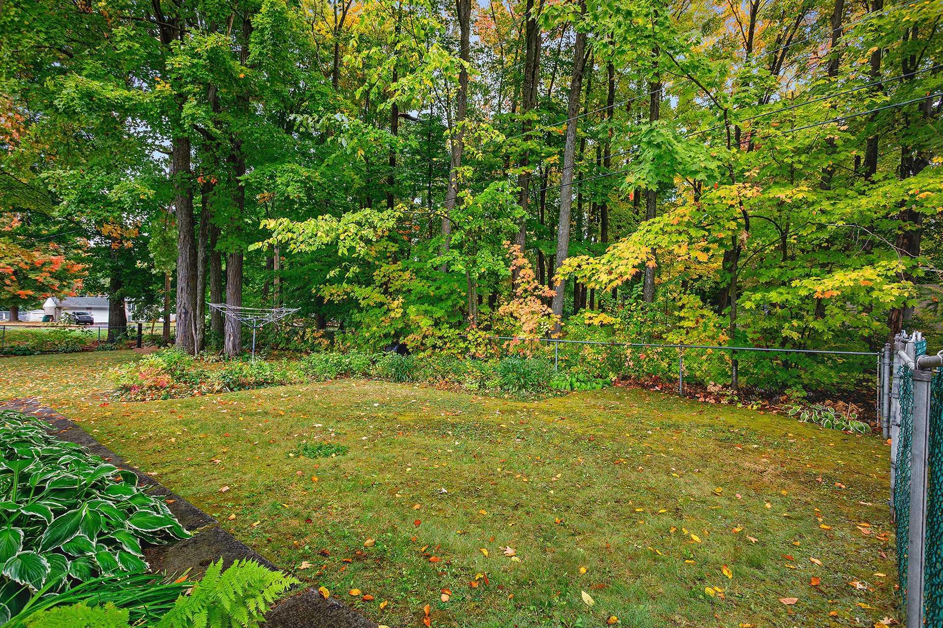 









293


Rue Argue

,
Shawville,




QC
J0X2Y0

