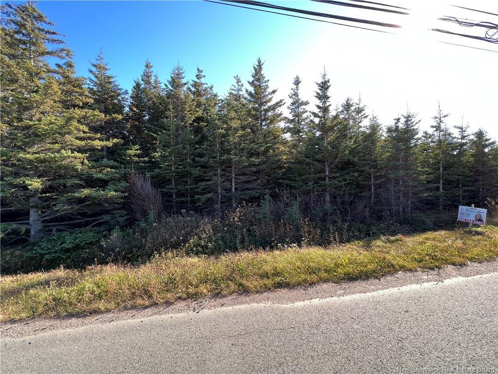 









405


Acadie

ST,
Grande-Anse,







NB
E8N 1E3


