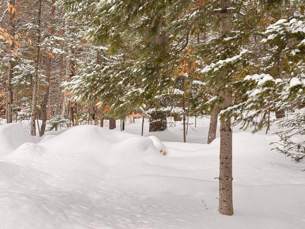









1436


Mtée Sauvage

,
Prévost,




QC
J0R1T0

