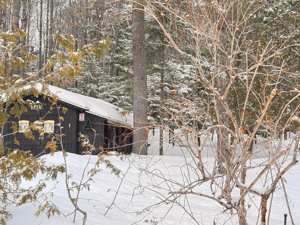 









1436


Mtée Sauvage

,
Prévost,




QC
J0R1T0

