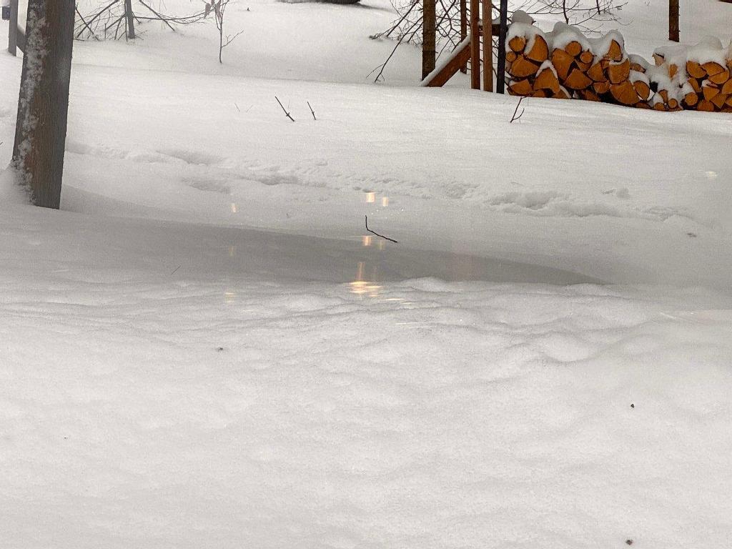 









1436


Mtée Sauvage

,
Prévost,




QC
J0R1T0

