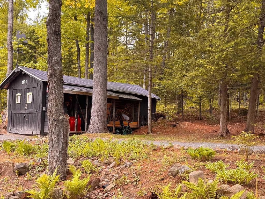 









1436


Mtée Sauvage

,
Prévost,




QC
J0R1T0

