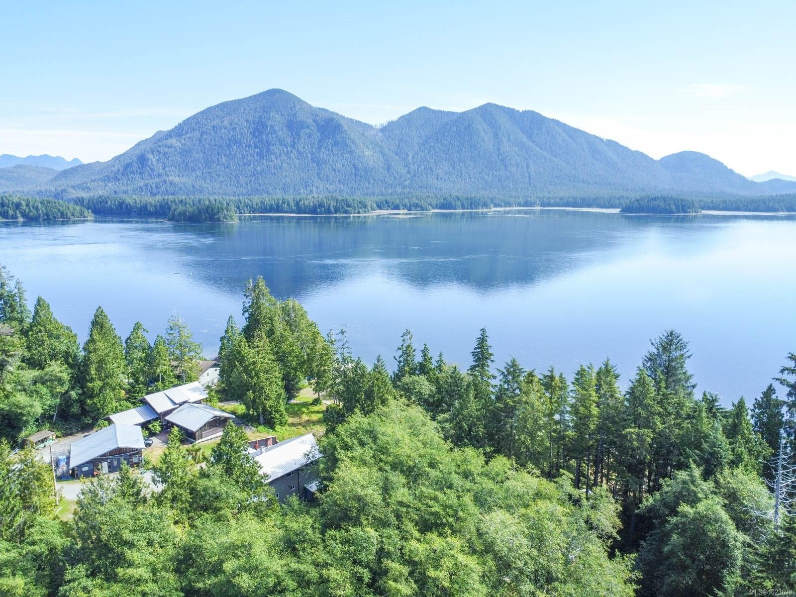 









700


Yew Wood

Rd, 302,
Tofino,




BC
V0R 2Z0

