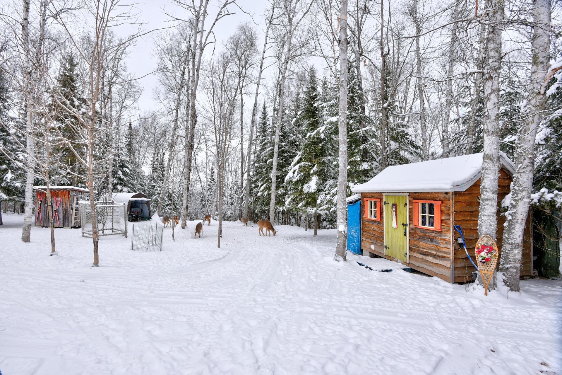 









40


Ch. des Érables

,
Saint-Michel-des-Saints,




QC
J0K3B0

