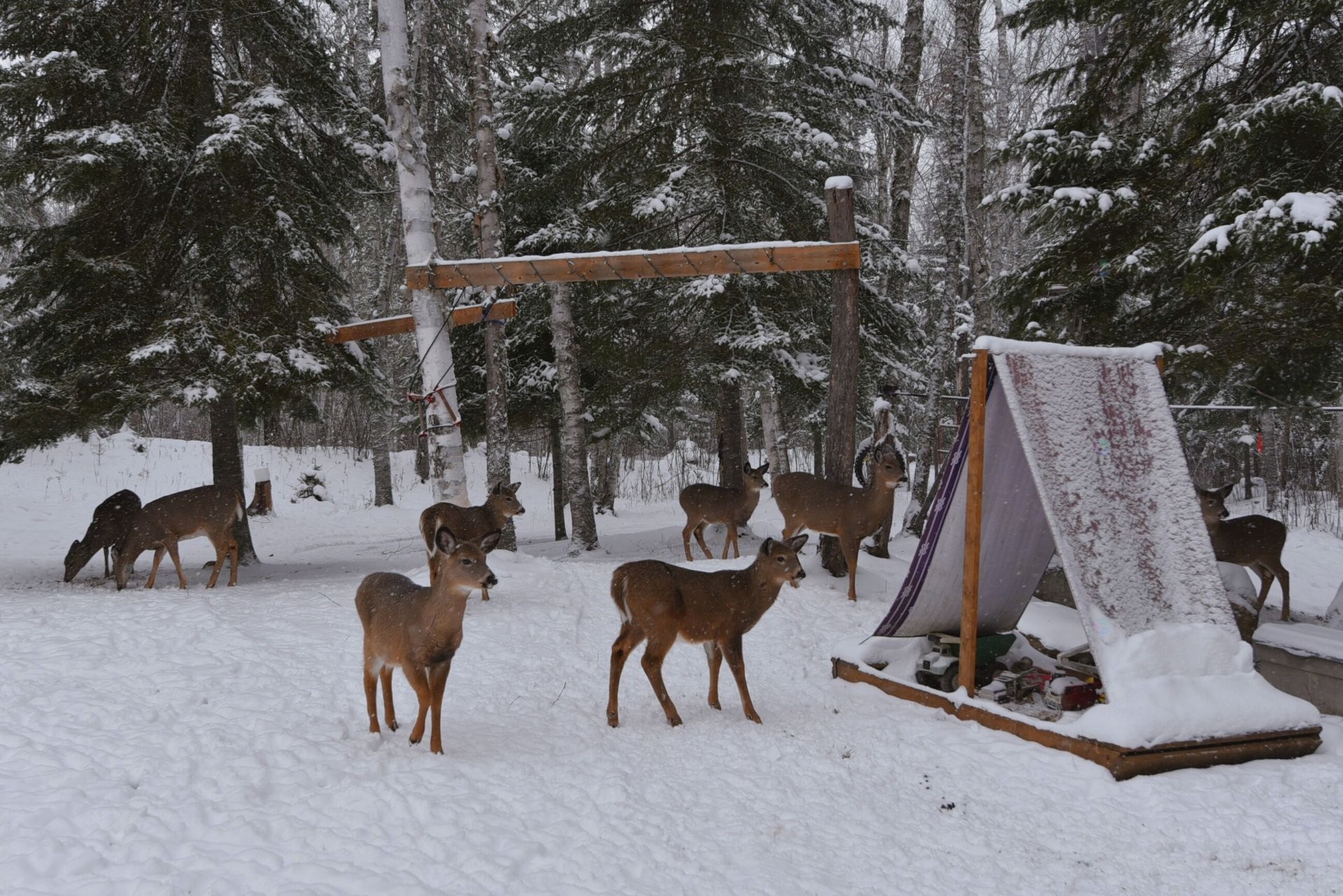 









40


Ch. des Érables

,
Saint-Michel-des-Saints,




QC
J0K3B0

