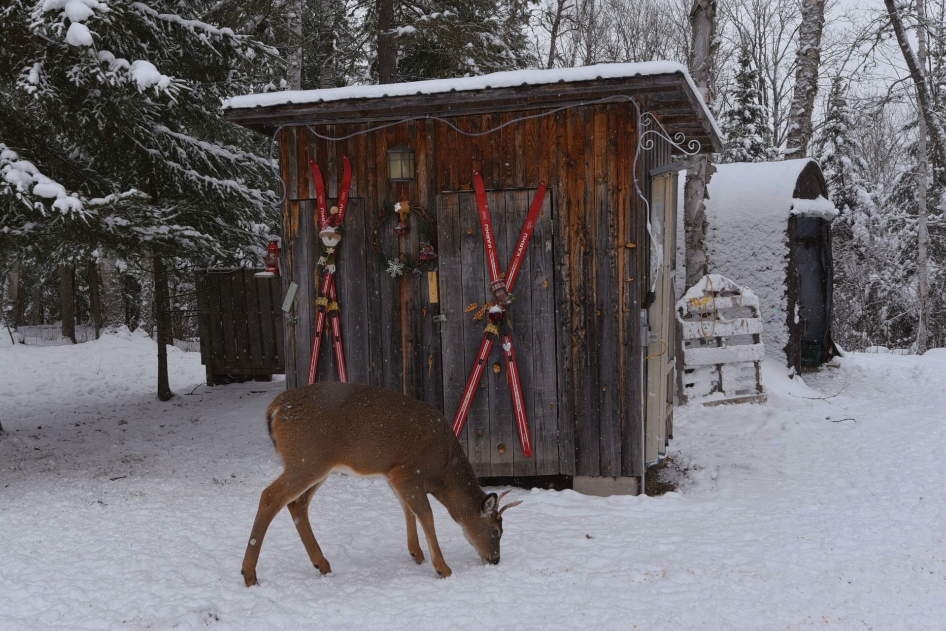 









40


Ch. des Érables

,
Saint-Michel-des-Saints,




QC
J0K3B0

