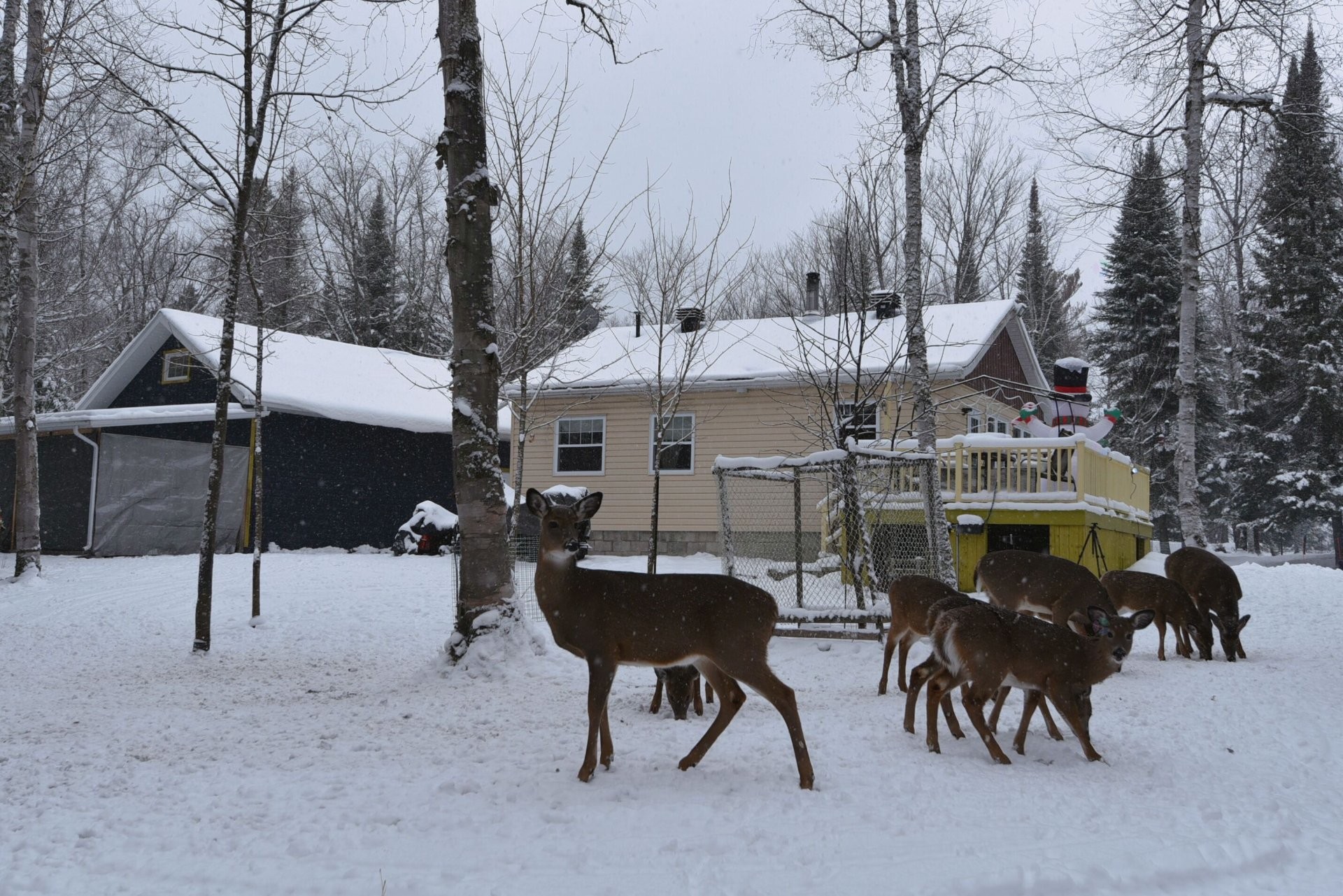 









40


Ch. des Érables

,
Saint-Michel-des-Saints,




QC
J0K3B0

