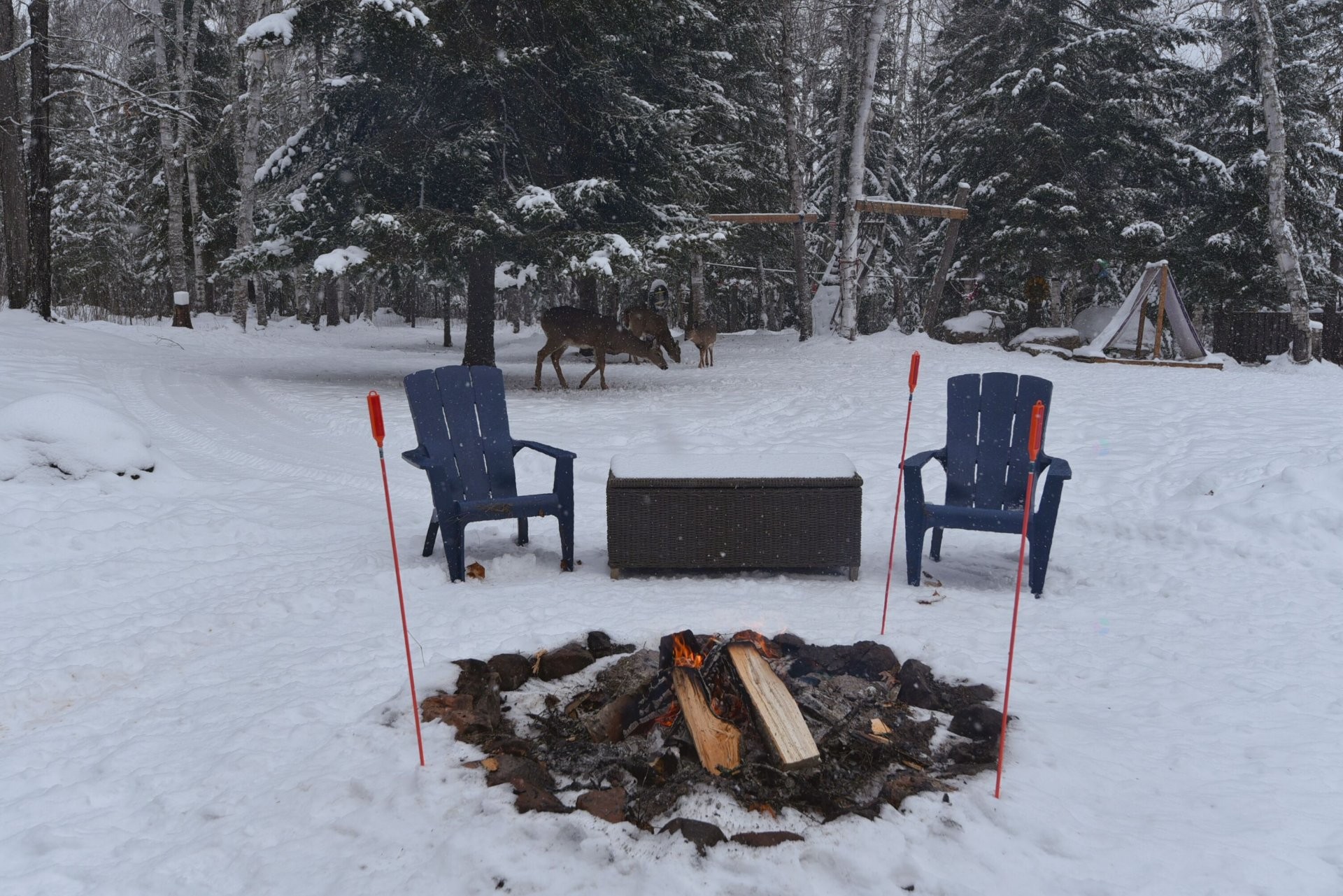 









40


Ch. des Érables

,
Saint-Michel-des-Saints,




QC
J0K3B0

